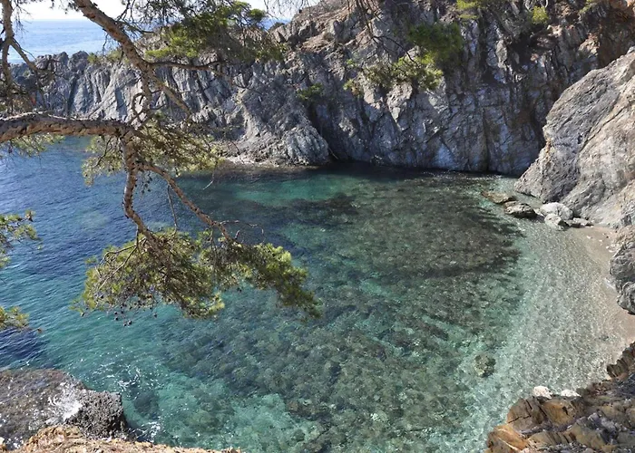 L'escale - Maison Pour 6 Personnes Avec Climatisation Et Wifi - Port Villa Hyères